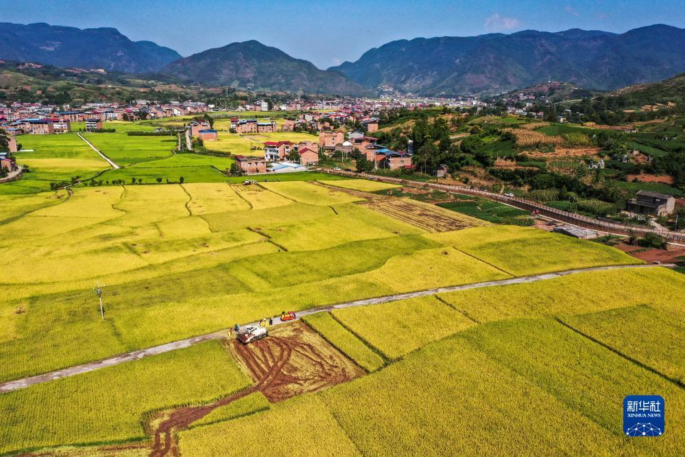 官方开户地址